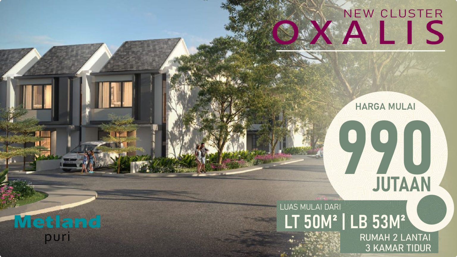 banner metland cluster oxalis