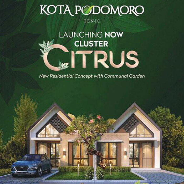 cluster-citrus-slide