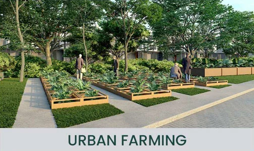 fasilitas-giantara-serpong-city-urban-farming.webp
