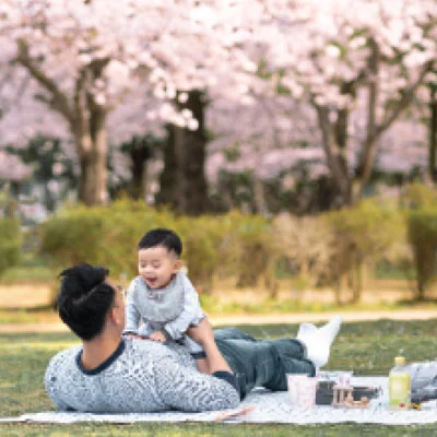 open-lawn.webp